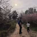 苏州旅游 缩略图 13