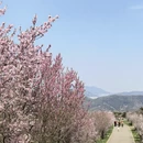 苏州旅游 缩略图 16