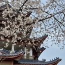 无锡旅游 缩略图 3