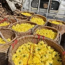 黄山旅游 缩略图 8
