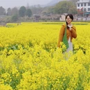 黄山旅游 缩略图 4