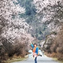林芝旅游 缩略图 3