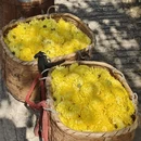 黄山旅游 缩略图 10