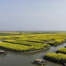 黄山旅游 缩略图 10