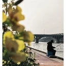 黄山旅游 缩略图 10