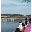 黄山旅游 缩略图 9