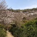 苏州旅游 缩略图 14