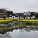 黄山旅游 缩略图 13