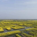 黄山旅游 缩略图 11