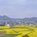 黄山旅游 缩略图 10