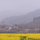 黄山旅游 缩略图 8