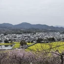 黄山旅游 缩略图 16