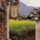 黄山旅游 缩略图 13