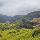 黄山旅游 缩略图 17