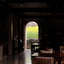 黄山旅游 缩略图 16
