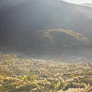 成都旅游 缩略图 2