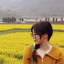 黄山旅游 缩略图 15