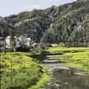 黄山旅游 缩略图 9