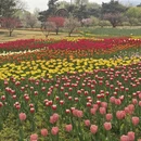北京旅游 缩略图 6