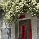 南京旅游 缩略图 10