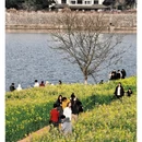 黄山旅游 缩略图 3