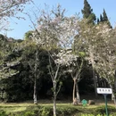 武汉旅游 缩略图 3