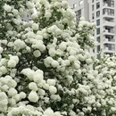 上海旅游 缩略图 3