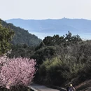 苏州旅游 缩略图 4