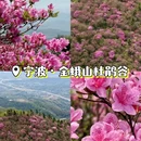宁波旅游 缩略图 1