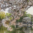 北京旅游 缩略图 10