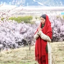 林芝旅游 缩略图 2