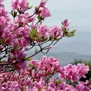 宁波旅游 缩略图 14