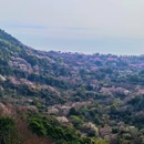苏州旅游 缩略图 9