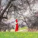 林芝旅游 缩略图 8