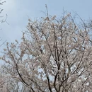 无锡旅游 缩略图 9