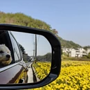 黄山旅游 缩略图 6