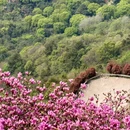 宁波旅游 缩略图 16