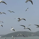 无锡旅游 缩略图 10