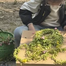 宣城旅游 缩略图 5