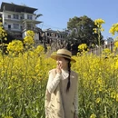 黄山旅游 缩略图 1