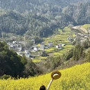 黄山旅游 缩略图 2