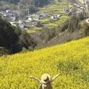 黄山旅游 缩略图 3
