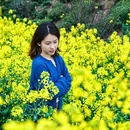 黄山旅游 缩略图 4