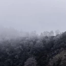 成都旅游 缩略图 11