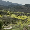 黄山旅游 缩略图 6
