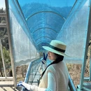 黄山旅游 缩略图 10