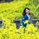 黄山旅游 缩略图 6