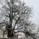 阿坝旅游 缩略图 9