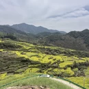 黄山旅游 缩略图 8
