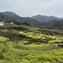 黄山旅游 缩略图 9